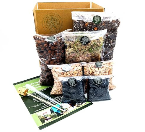 DIY Large Open and Closed Terrarium Kit (Champagne Pebbles)