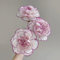 600 pcs Nelken Samen Mehrjährig - winterharte pflanzen für garten Bartnelken Mamen - Dianthus blumen für balkon, zimmerpflanzen bio saatgut wildblumensamen mehrjährig blumensamen gastgeschenk,
