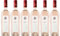Caliterra Sauvignon Blanc Rosé Wine 75cl - Case of 6 Bottles of Chilean Rose Wines