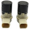 Callume 2er-Satz Parksensoren (Vorne & Hinten) für BMW 5er E39, X5 E53, Z4 85 (1996-2003) | MINI R50/R53 (2001-2006) | 2.5L-4.9L Motoren | Ersatz-Original-Nr. 66200414194, 66206911834