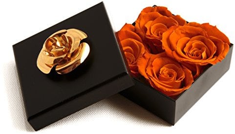 ROSEMARIE SCHULZ Heidelberg Infinity Rosen haltbar 3 Jahre in Box Rose konserviert (Orange, 4 Röschen)