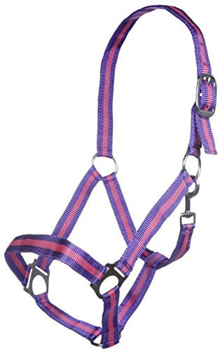 HKM Budapest Halfter lila/lavendel Pony