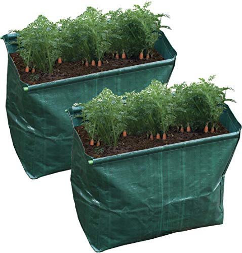 St Helens Home & Garden Carrot Planter - Pack of 2