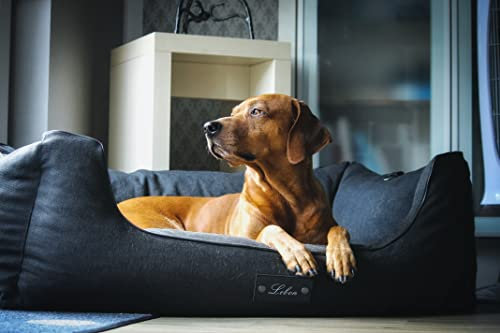 Lebon - Hundebett Carl Plus - 80x60x27cm- Orthopädisch- mit Liegedecke zum befestigen - Deluxe - Made IN EU