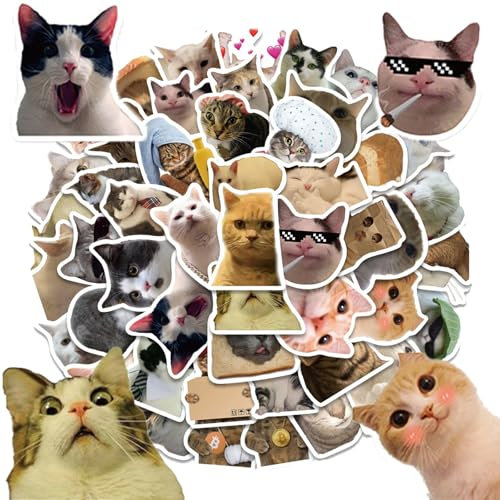 TuseRxln 50 Stück Lustiges Katzen Aufkleber Set, Wasserfeste Katzen Sticker, Kann Wiederholt Eingefügt Werden，Kreatives Heimwerken, geeignet für Autos, Laptops, Skateboards, Fahrräder, Computer usw.