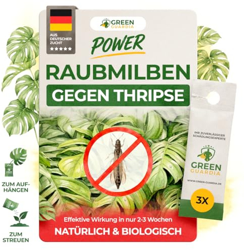 GREEN GUARDIA Power Raubmilben gegen Thripse – 3 Tüten -Biologisches Mittel zur effektiven Thripse Bekämpfung für Zimmer- & Zierpflanzen sowie Canna. – umweltfreundlich,chemiefreie Mittel