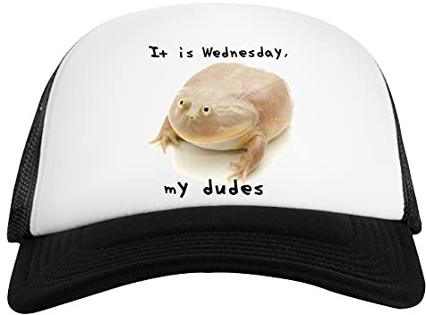 It is Wednesday My Dudes Weiß Schwarz Unisex Baseball Cap White Black