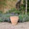 Palatina-Keramik | kleines Terracotta Pflanzgefäß mit Henkel | handgefertigt und frostfest | Blumenkübel für Garten, Terrasse oder Balkon Rosa 28 cm