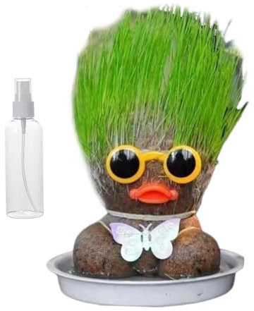 Grow Your Own Kits, Grass Head Doll Plant, Grow Your Own Grass Head for Kids, Cute and Funny GIF-t for Men Women Kids, Fresh Grass Plant for Home and Garden Decoration
