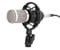BM-800 Professional Condenser Microphone for Online Karaoke Studio Quality Sound Fit for Singing, Recording Live Streaming Black Silver Mesh