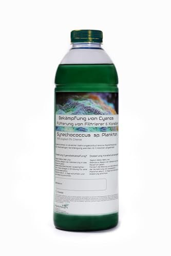 Plankton24 PhytoPlankton Synechococcus sp. (2 Liter) Cyano Stopp Fütterung von Korallen und Filtrier