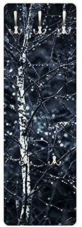 Bilderwelten Garderobe - Dunkle Birke im kalten Regen, Größe HxB: 119cm x 39cm