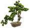 Bonsai Baum in Schale Kunstbonsai Kunstbaum Dekobaum künstlich Japanische Kunstpflanze Grünpflanze Dekobaum wie echt groß Deko Pflanze Pflanzendekoration Bonsaischale exotische Bäume Zen Garten, Groß