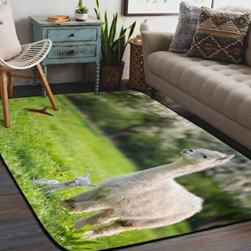 WowPrint Mammal Alpaka-Bereich Teppiche Wohnzimmer, niedlicher Alpaka-Lama-Teppich für Schlafzimmer Kinderzimmer waschbar rutschfeste Bodenmatte großer Teppich 122 x 183 cm