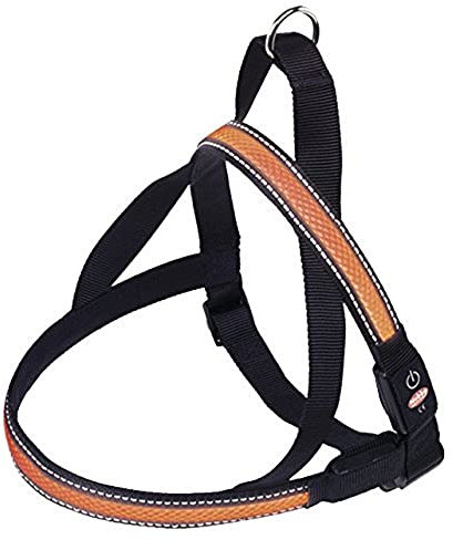 Nobby Norwegergeschirr FLASH MESH, orange XL: L: 80-100 cm + 56, B: 38 mm, 1 Stück