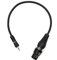 SC-AK600-MF-0200 2m Câble micro mini jack 3,5 mm vers XLR femelle pour appareils photo reflex numériques avec connecteurs plaqués or