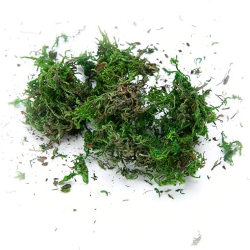 MUSISALY 3packungen Getrocknetes Moos Dekorative Trockengrün Pflanzen Für Terrassendekoration Packung Für Mini-landschaftsmodelle Und Dioramen