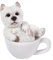 Pacific Giftware West Highland Terrier Figur in Tasse mini 7,5 cm - Hunde Welpe Baby Dekofigur Geschenk für Hundebesitzer