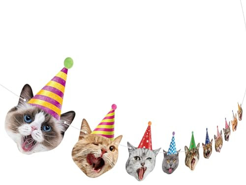 Hooqict Katzengeburtstagsbanner Geburtstagsparty-Dekorationen für Hintergrund Katze Happy Birthday Banner Girlande Schild für Mädchen Jungen Kinder 1. 2. 3. Partyzubehör zum Aufhängen