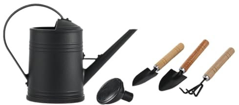 AWHAO Regadera Regadera de jardín Regadera de jardín de Gran Capacidad 2L Regadera Moderna para Flores de jardín Verduras, Negro
