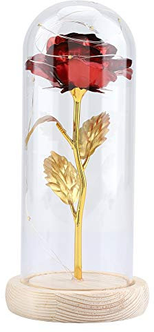 Rose Flower, Ewige Rose im Glas Rose in Einer Glaskuppel mit LED Licht Romantisches ewige Rose für Freundin Frau Weihnachten Valentinstag Geburtstag Jahrestag Muttertagsgeschenke