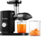 Slow Masticating Juicer, AAOBOSI Juicer Machines with Quiet Motor/Reverse Function/Easy to Clean Brush, Cold Press Juicers - Fruit and Vegetable for Delicate Crushing without Filtering, Black