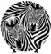 POEZJZW Zebra, piatto decorativo in porcellana Bone China, decorazione perfetta per casa, ufficio e caffetteria, 17,8 cm