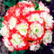 prime vista 100 piezas plantas raras de geranio chino Pelargonium raras plantas de flores perennes Hardy bonsai plantas en macetas Semillas: 21