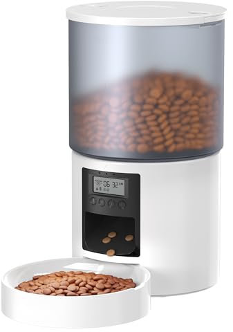 Mangeoire Automatique pour Chat : Distributeur de Nourriture pour Chat avec Programme d'alimentation minuteur, Appel à Manger de 10 s - Gamelle avec Distributeur Automatique de Nourriture