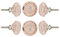 Perilla Home Set of 6 Crystal Glass Knobs Kitchen Cabinet Cupboard Glass Door Knobs Dresser Wardrobe and Drawer Pull (Pink)…