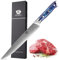 WILDMOK Coltello da intaglio, Coltello da intaglio professionale da 22.9 CM in Damasco, Coltello da carne e per barbecue, Acciaio giapponese affilato come un rasoio
