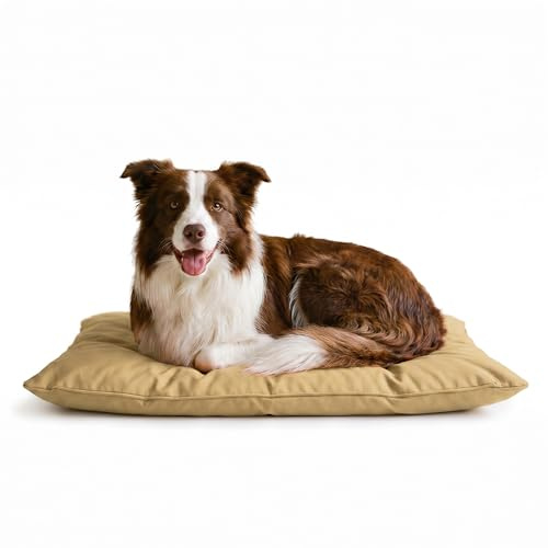 Stripey Finds Italian Bed Linen Dogs Maxy Pillow, 60 x 100 cm, Cream