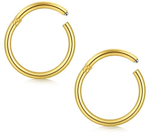 Briana Williams 2stk Gold Segmentring Clicker Septum Nasenring 16G Chirurgenstahl 8mm Hoop Tragus Helix Piercing Ring