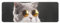 JZemdybill Federmäppchen, niedliche Brille, Katze, kreative einfache Schreibwaren-Box, 19,5 x 7,1 x 2,7 cm, Stil:, Einheitsgröße, Federmäppchen