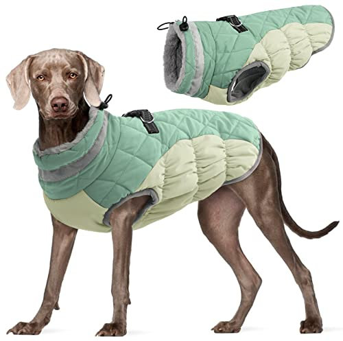 Kuoser Winter Hundejacke für mittelgroße Hunde – Wasserdichter & Winddichter Hundemantel mit Fleecefutter, Reißverschluss, D-Ring & Reflektoren – Warme Outdoor Hundebekleidung für Herbst & Winter, L