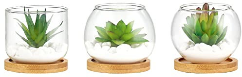 Mkono Lot de 3 mini plantes grasses artificielles dans un pot en verre transparent pour femme, décoration de bureau, petite plante verte avec plateau en bambou pour bibliothèque, salle de bain,
