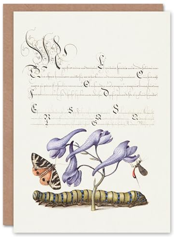 Artery8 Model Book of Calligraphy Art Card Butterfly Caterpillar and Flower