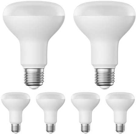 ledscom.de 6 Stück E27 LED Leuchtmittel, R80, warmweiß (2700 K), 10 W, 935lm, matt
