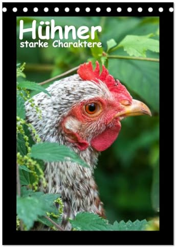 Hühner - starke Charaktere (Tischkalender 2026 DIN A5 hoch), CALVENDO Monatskalender: Hühnerportraits (CALVENDO Tiere)