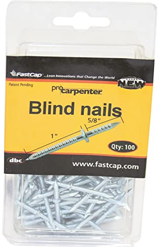 FastCap Steel BlindNail Double-Ended Nail Kit - Great for Furniture, Picture Frames, Molding and Trim Work - 1 x 5/8, 100-Pack - 00973