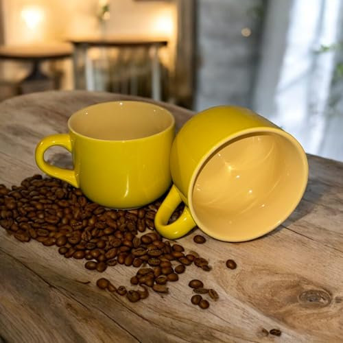 Set di 2 ciotole per la colazione Ciotole di zuppa di ceramica Tazza di caffè grande, tazze di zuppa con manico adatto per forno a microonde e lavastoviglie per cereali dessert insalata tè latte