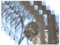 WowPrint Platzdeckchen, 4 St¨¹ck, lustige Tiere, Eule, Vogel, hitzebest?ndig, leicht zu reinigen, personalisierte Tischsets f¨¹r K¨¹che, Esszimmer, Dekoration