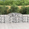 Myheimly Gabionen mit Hochbogen 2 STK. 300x30x80/100 cm Verzinktes Eisen