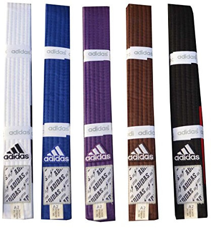 adidas Brazilian Jiu Jitsu bälte 300 vitt