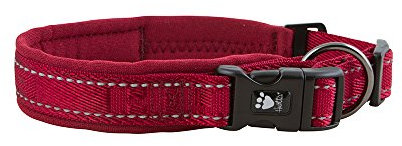 Hurtta Gepolstertes Hundehalsband, Lingon, 40,6–50,8 cm