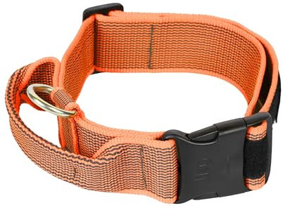 Julius-K9 200HA-K-OR-2015 Color & Gray Halsband mit Haltegriff, Sicherheitsverschluss und Logo, 50 mm (49-70 cm), Orange-Grau