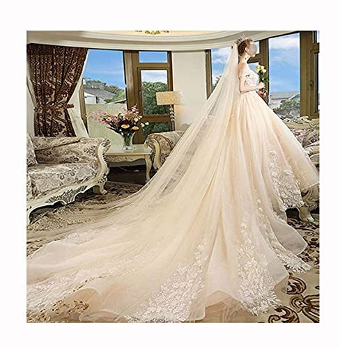 Braut Hochzeitsschleier Bridal Veils Champagner mit Kamm Lange Kurz Tüll Hochzeit Schleier Cathedral Zubehör Wunderschöner Brauttüll (Color : 1 T 4m)