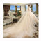 Braut Hochzeitsschleier Bridal Veils Champagner mit Kamm Lange Kurz Tüll Hochzeit Schleier Cathedral Zubehör Wunderschöner Brauttüll (Color : 1 T 4m)