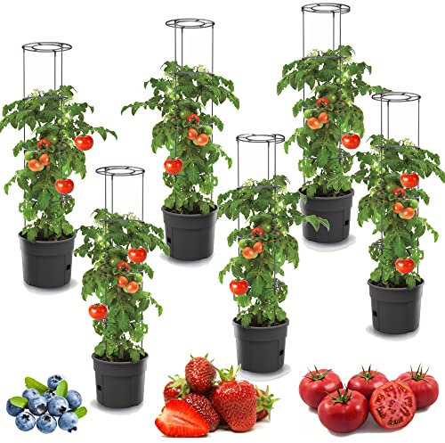 botle 6X Tomatenpflanze Blumentopf für Tomaten Set 6 STK Pflanzkübel 28 L, Tomatenzüchter, Tomatentopf, Übertopf, Gemüsen, Tomaten Waschen