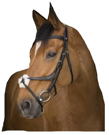 EKKIA Norton Pro Trensenzaum mit überkreuztem Nasenriemen mexikanisches Reithalfter schwarz, Größe:Full
